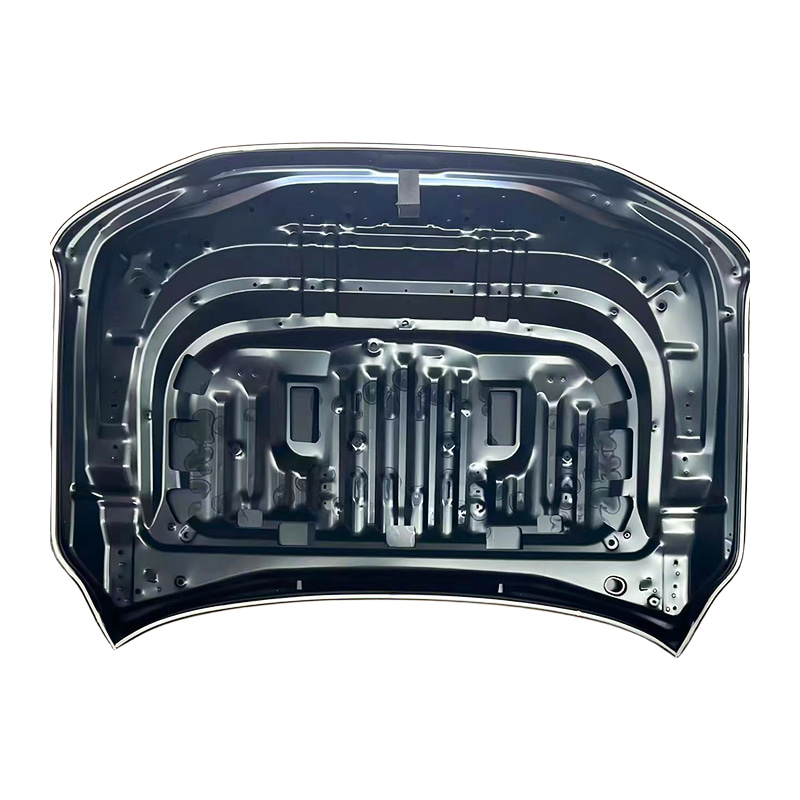 TOYOTA LAND CRUISER 21 Kaleche